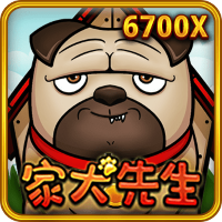 家犬先生
